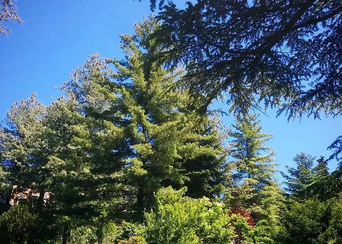 I Dodici Mesi Rooms&apartments Τρέντο